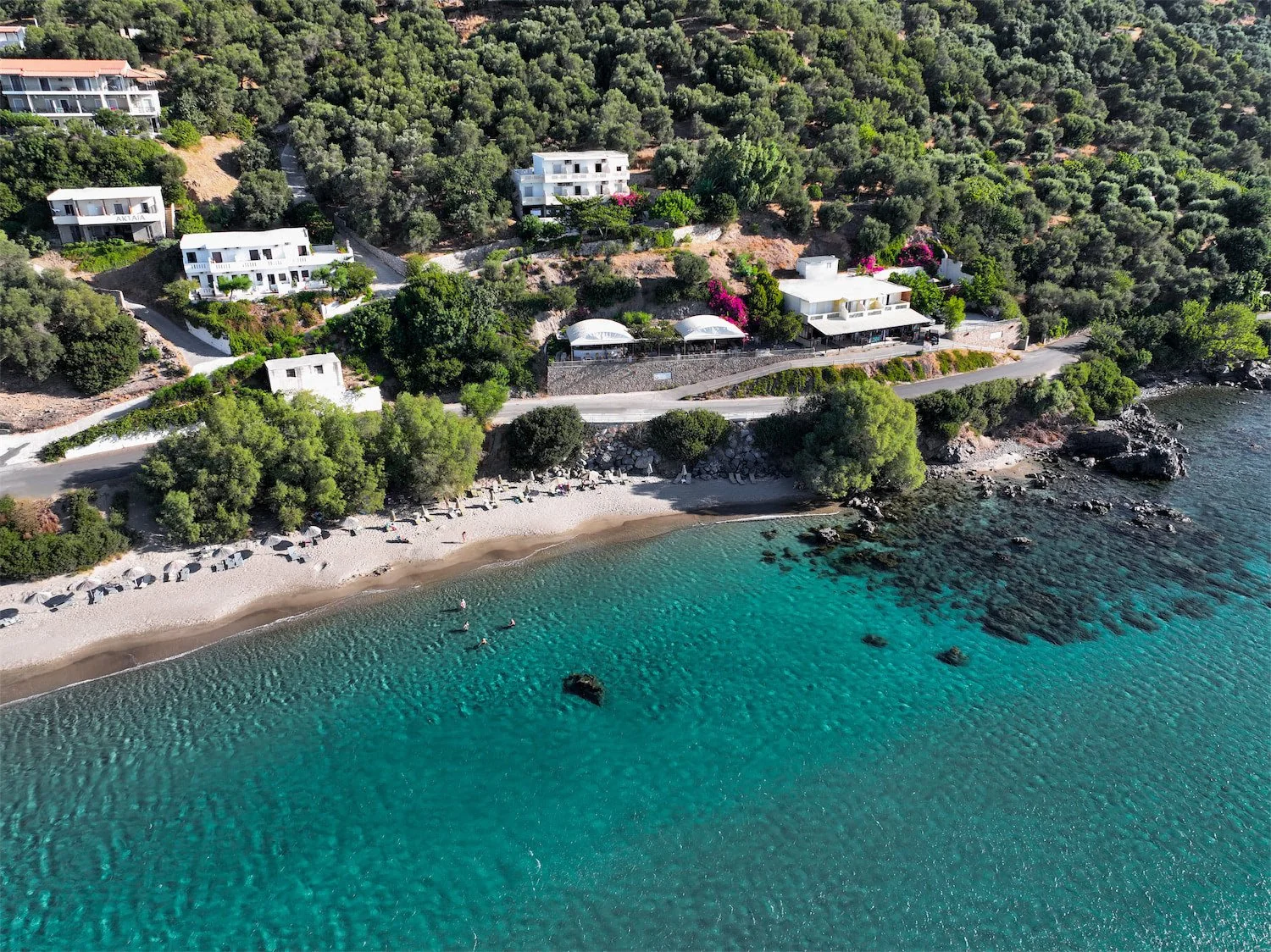 dji_fly_20240824_085708_89_1724516923842_photo.jpg